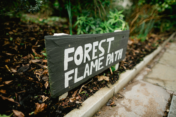 Alternate wedding photographers