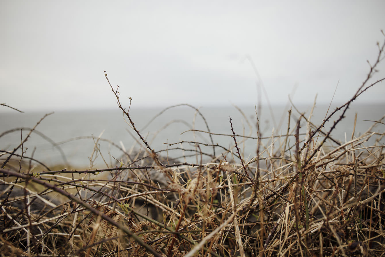 Elopement Ireland41